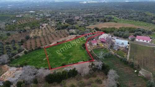Arsa-Villa İmarlı