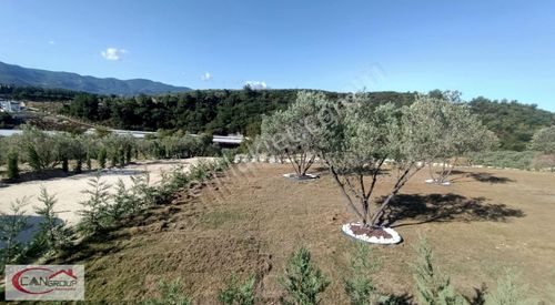 Arsa-Tarla