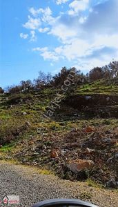 Arsa-Bağ & Bahçe