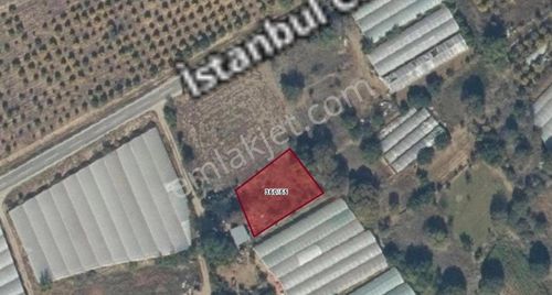 Arsa-Bağ & Bahçe