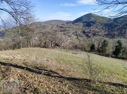 Arsa-Tarla