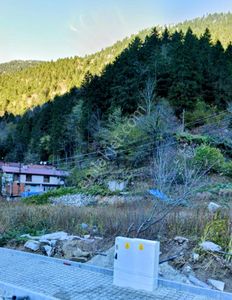 Arsa-Tarla