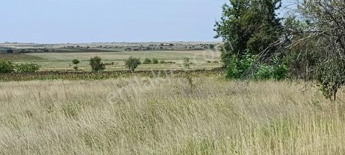 Arsa-Tarla