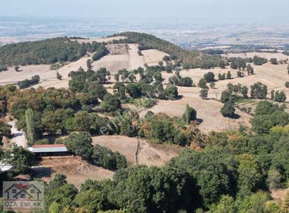 Arsa-Tarla