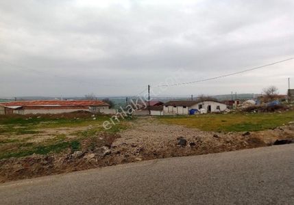 Arsa-Bağ & Bahçe