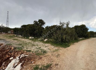 Arsa-Bağ & Bahçe