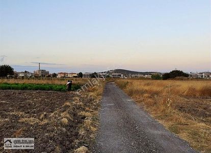 Arsa-Konut İmarlı