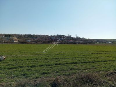 Arsa-Tarla