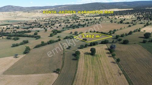 Arsa-Tarla