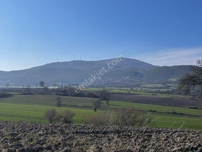 Arsa-Tarla