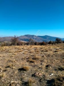 Arsa-Tarla