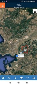 Arsa-Zeytinlik