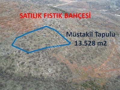 Arsa-Tarla