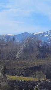Arsa-Tarla