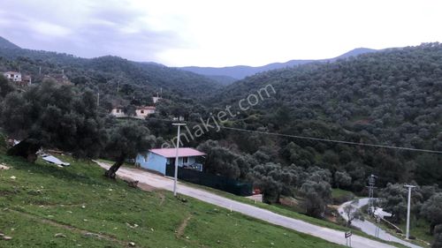 Arsa-Bağ & Bahçe