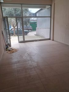 İşyeri-Dükkan & Mağaza