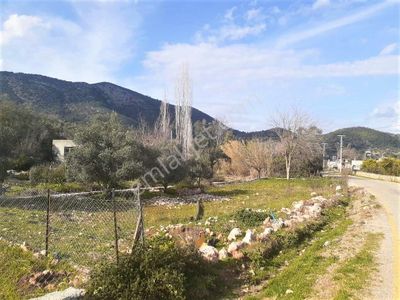 Arsa-Konut İmarlı