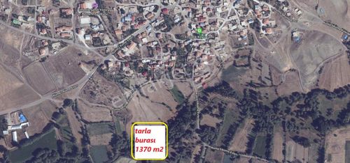 Arsa-Arazi