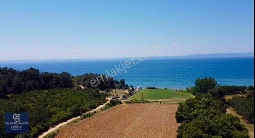 Arsa-Villa İmarlı