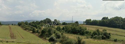 Arsa-Tarla