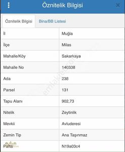 Arsa-Zeytinlik