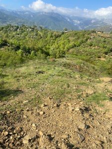 Arsa-Tarla