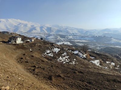 Arsa-Bağ & Bahçe