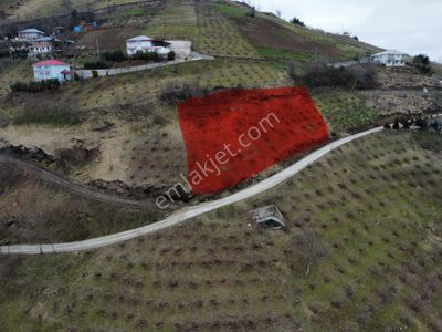 Arsa-Villa İmarlı