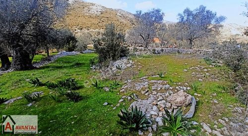 Arsa-Konut İmarlı