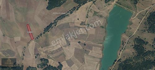 Arsa-Tarla