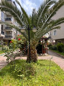 Konut-Daire