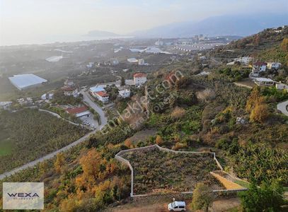 Arsa-Tarla