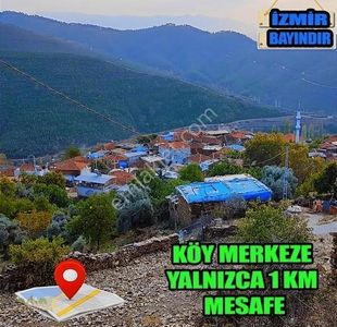 Arsa-Zeytinlik