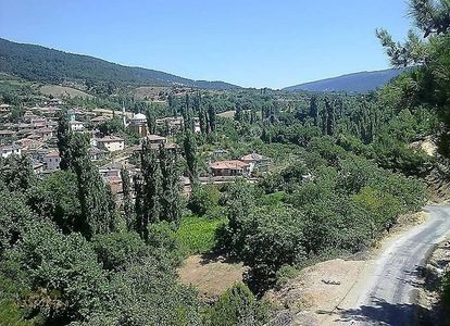 Arsa-Zeytinlik