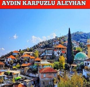 Arsa-Zeytinlik