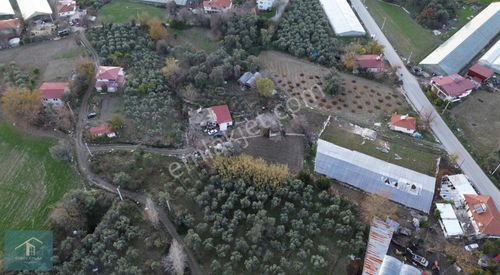 Arsa-Konut İmarlı