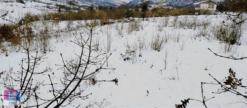 Arsa-Tarla