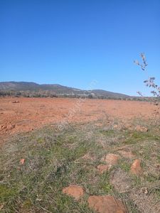 Arsa-Tarla