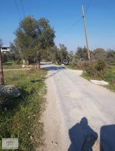 Arsa-Bağ & Bahçe