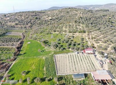 Arsa-Tarla