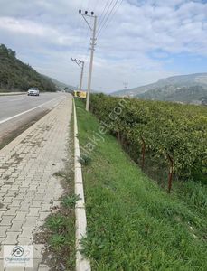 Arsa-Bağ & Bahçe