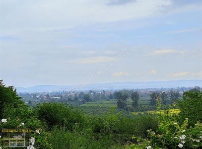 Arsa-Tarla