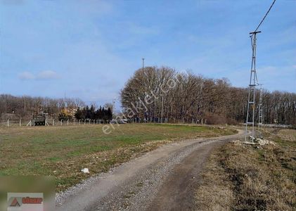 Arsa-Tarla
