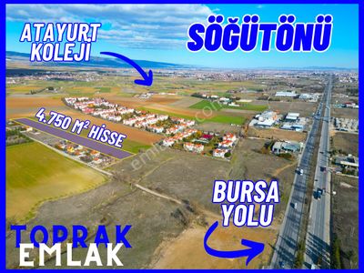 Arsa-Tarla