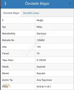 Arsa-Zeytinlik