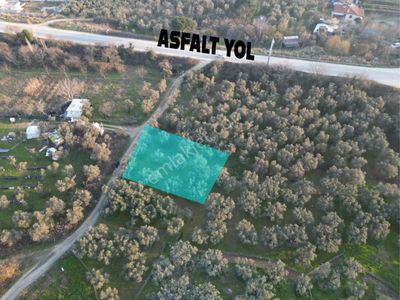 Arsa-Bağ & Bahçe