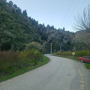 Arsa-Tarla
