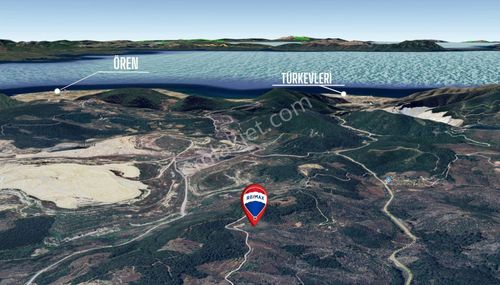 Arsa-Zeytinlik