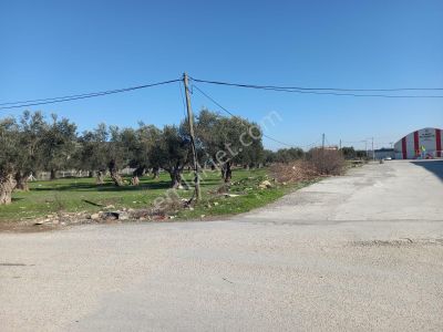 Arsa-Ticari İmarlı