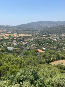 Arsa-Tarla